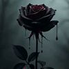 nishatmoni972