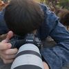 cats_photography