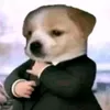 idkwhy369