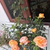 phamhieu9280