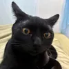 Quxngftbl