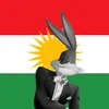 Mr.Rabbit