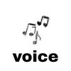 voice2_0_0_2