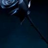 aileen9978