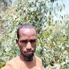 abbasabrahim2