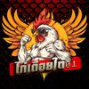 ไก่เดือยใต้