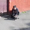 nuii_14r