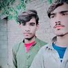 shahzaibking6686