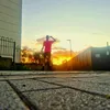 alfiepitchford