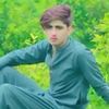 shahswar.khan264
