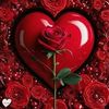 user60579169173674