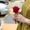 wxxy.sh