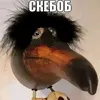 hesoyam_gtasa