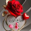 hamza.badry87