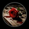 mano.mirza077