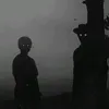 _zjdy