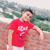 mahmoud.ibrahim7256