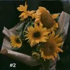 _2liing9_