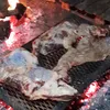 elaprendiz80