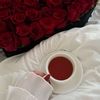 nosaali4716