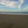 pvd_tami_tirando