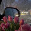 bubs_51