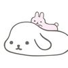 shyduo.luv