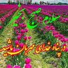 jj66766423
