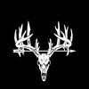 asher.buck1