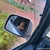 arrhong77