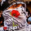 free.palestine260691