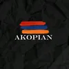 akopyanartemek