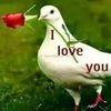 user2295171176807