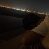 zhwqq8