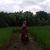 ummafitri2