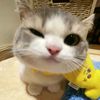 i_butuh_muichiro