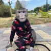 YASHA_SUYETOLOG