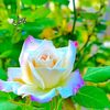 user43701999922187