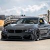 aripe_8659