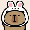 nhyi.n37