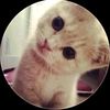 rbx_shaini