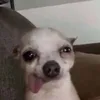 kmctee._187