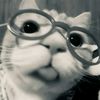 ccpppp__