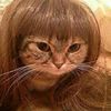 felinomiau