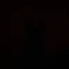 david.lucas7771