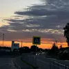 fraancesoo