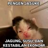 meoongggg5