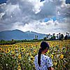 ain.gyin.htet30
