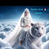syeda.j2