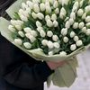 ehedova.damla